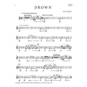 Drown - Flute
