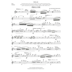 Solas (Chamber Orchestra) - Flute