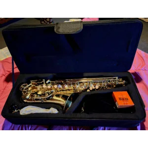 Pack Complet avec Saxophone Alto par Gear4music, Doré