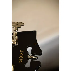 D'Angelico Premier DC Black Flake - Guitare Semi-Hollow Double Pan Coupé | Green Musicians