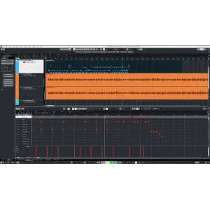 Steinberg Cubase Elements 15 UG from AI