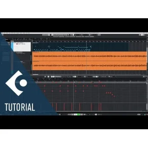 Steinberg Cubase Pro 15 UG from LE