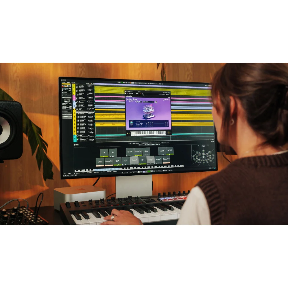 Steinberg Absolute 7 Competitive CG