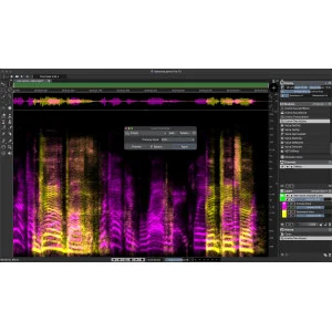 Steinberg Spl SpectraLayers Pro 13 Comp. CG