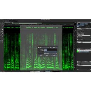 Steinberg Spl SpectraLayers Pro 13 Comp. CG