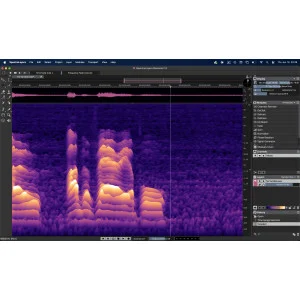 Steinberg Spl SpectraLayers Elements 13 Full Version