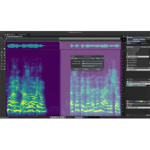 Steinberg Spl SpectraLayers Pro 13 Full Version 365