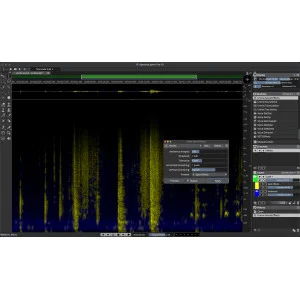 Steinberg Spl SpectraLayers Pro 13 Education