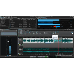 Steinberg WaveLab Cast 12 Full Version