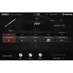 Steinberg Iconica Sections & Players