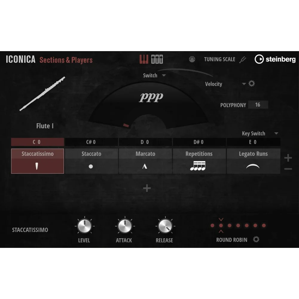 Steinberg Iconica Sections & Players