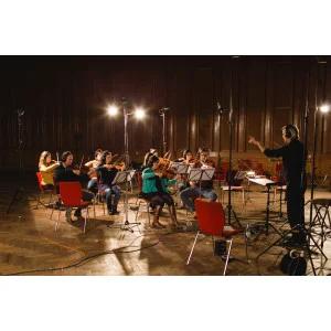 Steinberg Iconica Sections & Players