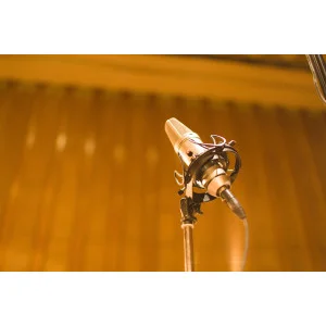 Steinberg Iconica Sections & Players