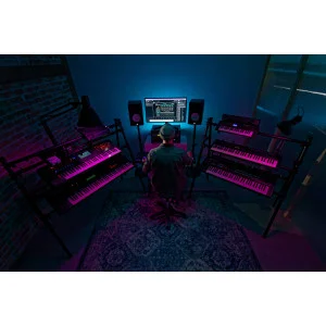 Steinberg FM Lab
