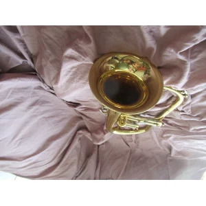Bugle sib Professionel BS Haute gamme