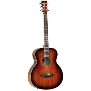 Winterleaf Tw Mini E Koa Cn