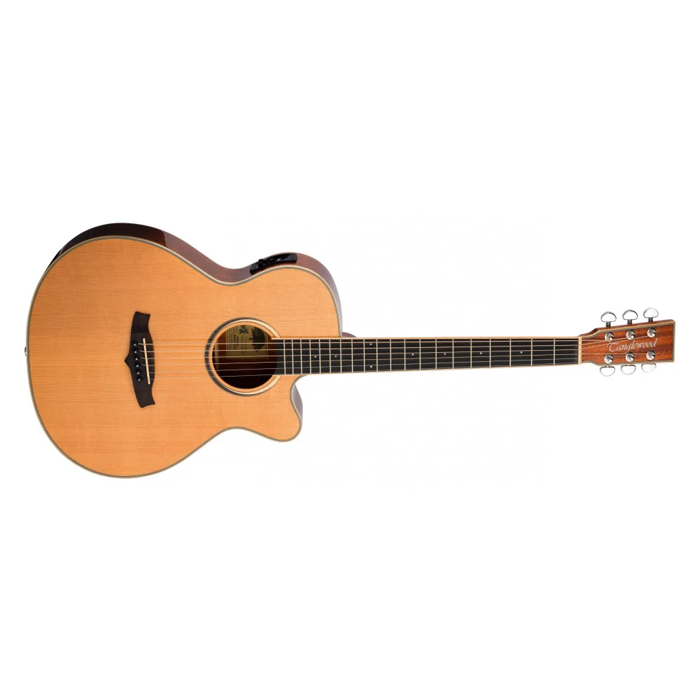 Winterleaf TW4 CE NA - Zuverlässiges und leistungsstarkes Modell | Green Musicians