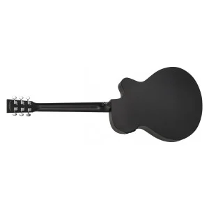 Blackbird Twbb Sfce Lh Cn