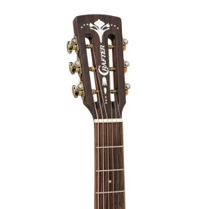 Mind series - Guitarra electroacústica Dreadnought tapa de caoba maciza | Green Musicians