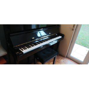 Chavanne Piano droit M5