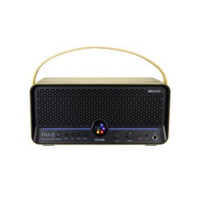Amplificador Mooer F40i Li 40w Dore