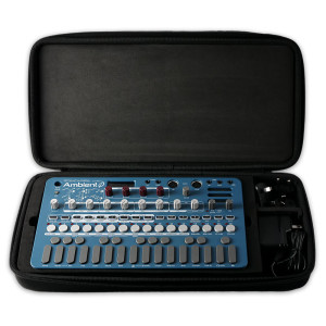 LIVEN Case