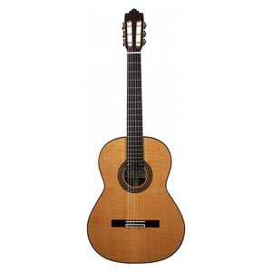 ALTAMIRA CLASSIQUE Ganadora N650 4/4 EN + housse