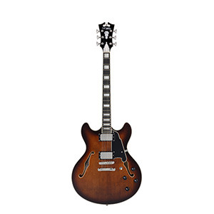 D'ANGELICO Premier DC Marron Burst