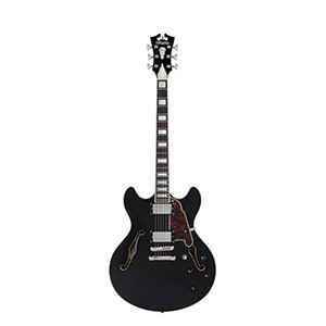 D'ANGELICO Premier DC Schwarze Flocke