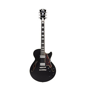 D'ANGELICO Premier SS Escama Negra