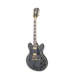 D'ANGELICO Excel DC Black Dog