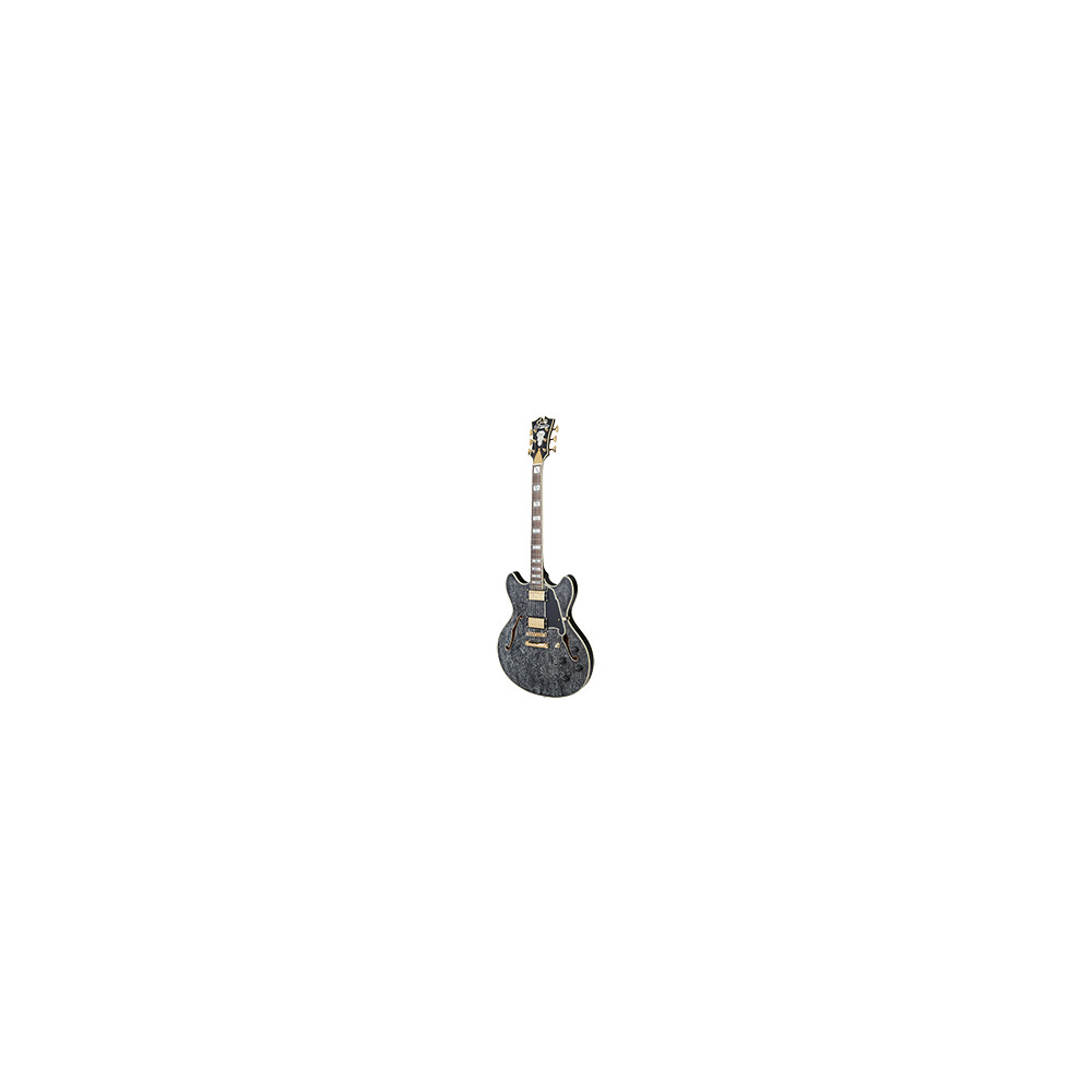 D'ANGELICO Excel DC Black Dog