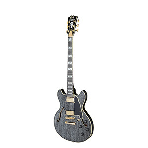 D'ANGELICO Excel Mini DC Black Dog