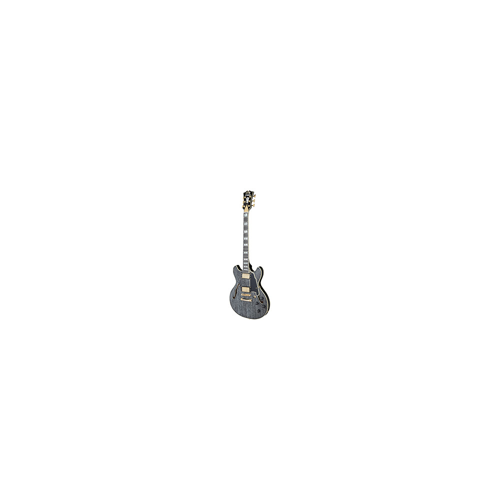 D'ANGELICO Excel Mini DC Black Dog