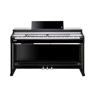 KURZWEIL CUP-P1 BP Black Polish