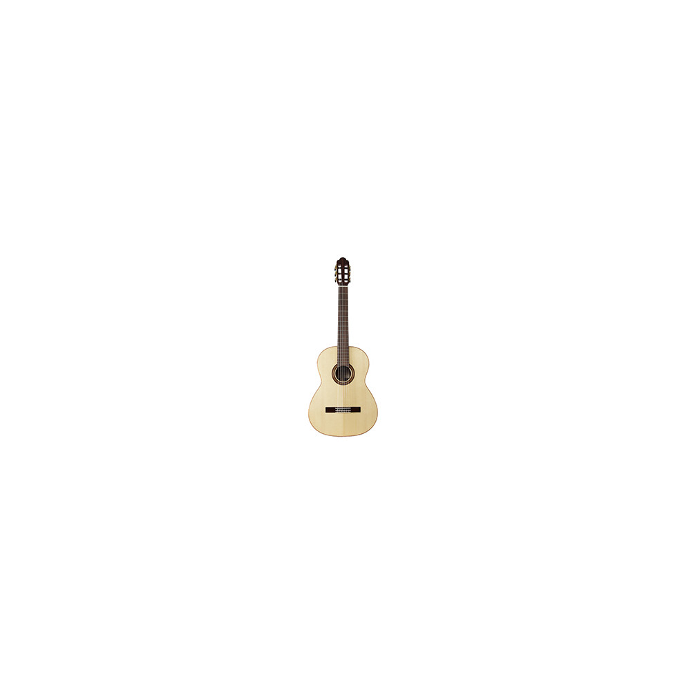 MARTINEZ Torres Palosanto 4/4 RN + funda