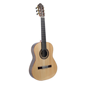 MARTINEZ Torres Palisander 1/4 RN + Tasche