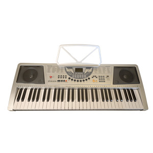 DELSON - Clavier 61 Touches Argent