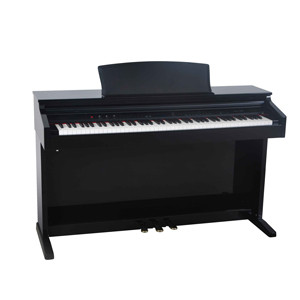 DELSON 8876 Piano Concerto+ 88 notes toucher lourd RW