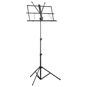 Proel Stage RSM300 | Green Musicians