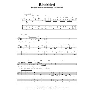 Blackbird