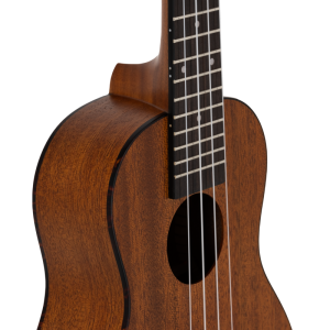 Prodipe BC210