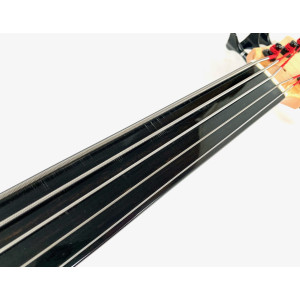 Pedulla Penta Buzz 5 String Bass Fretless 2000 Natural