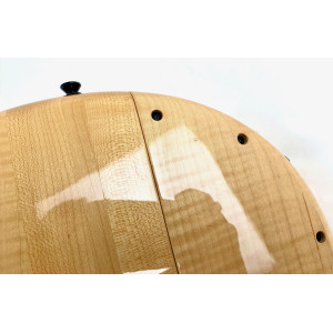 Pedulla Penta Buzz 5 String Bass Fretless 2000 Natural