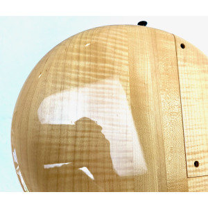Pedulla Penta Buzz 5 String Bass Fretless 2000 Natural