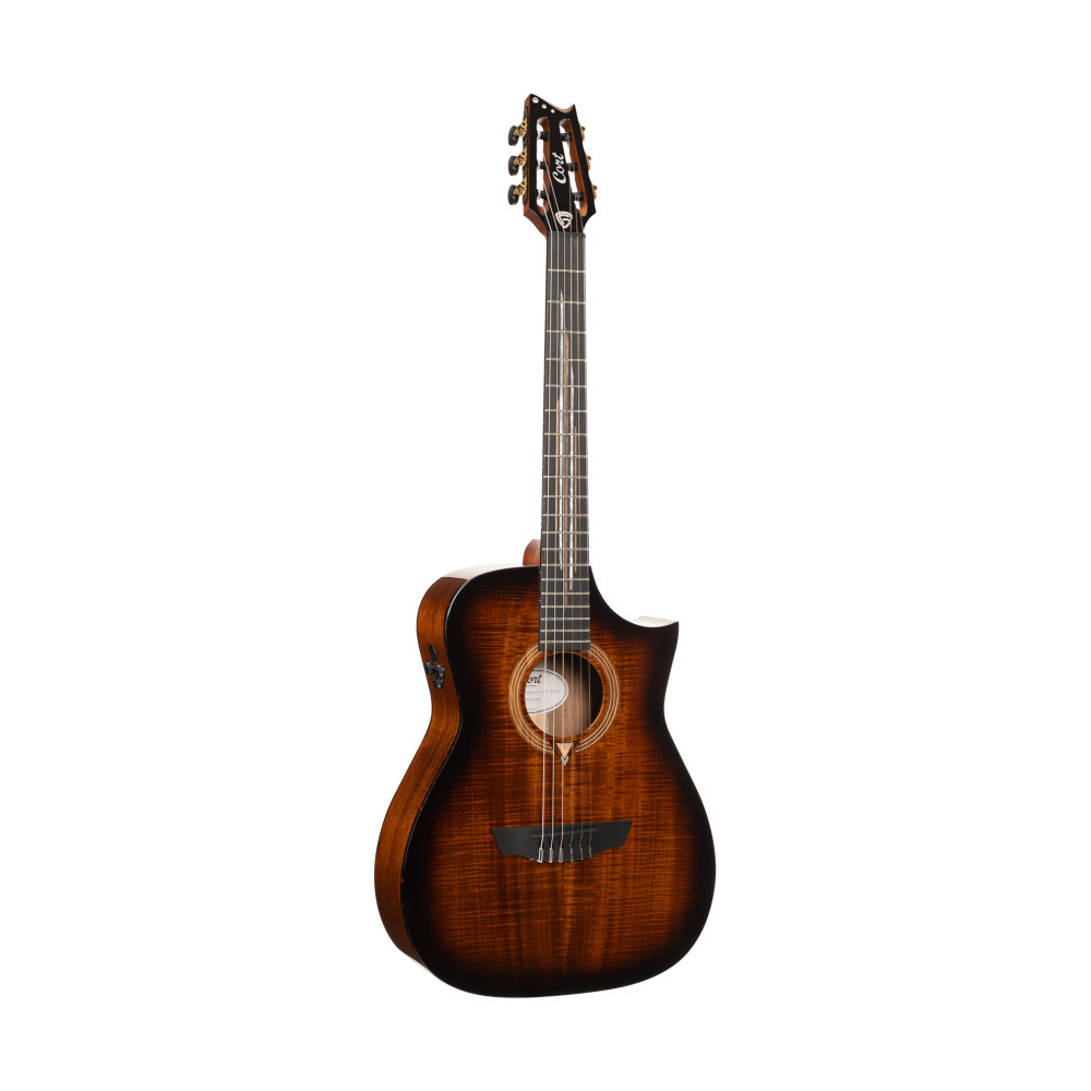 Cort Luxe Nylon 2 Bkb Guitar - Frank Gambale Classical Guitar Solid Blackwood