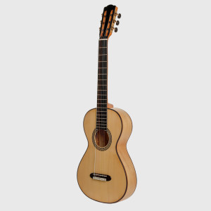 Esteve Lacote Rosewood Guitar | Solid Wood Classical Guitar with Case