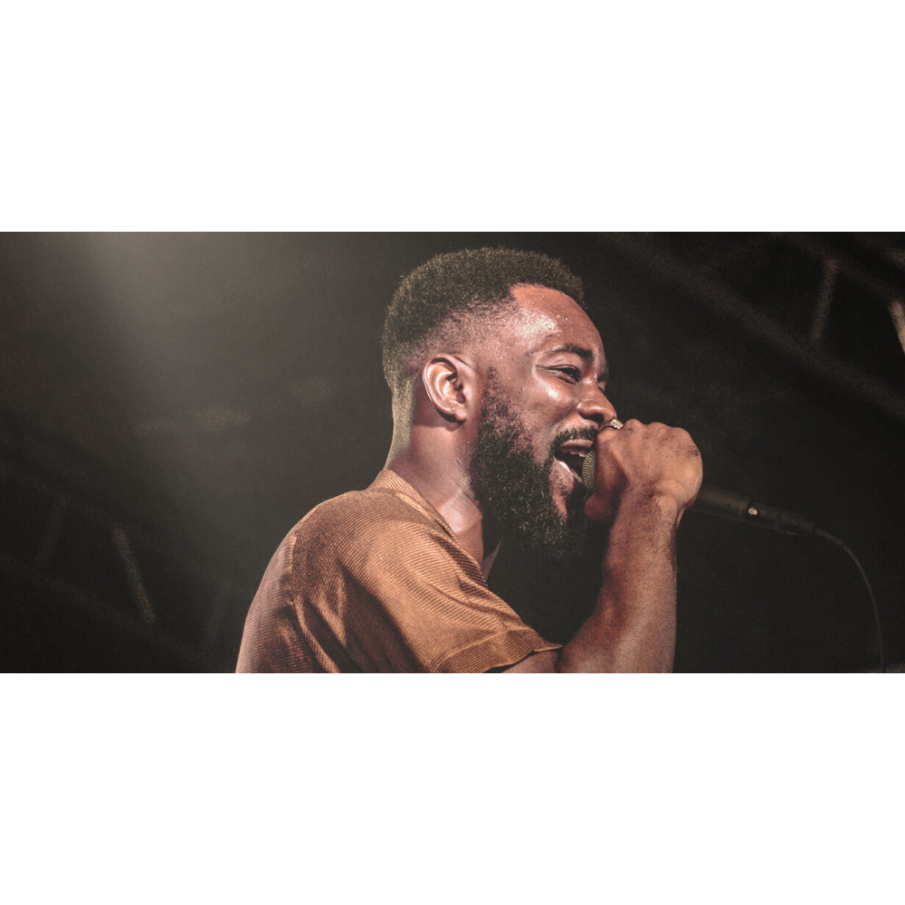 RODE M1 Stage Microphone