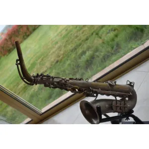 Saxo ALTO DOLNET
