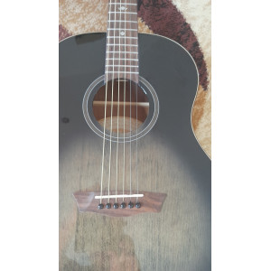 Washburn Novo S9